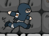 ninja-ersen